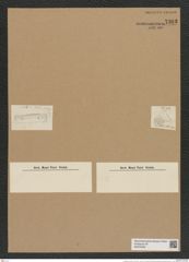 Triceratium flos Ehr. (de-Toni-Nr.: Genus 140, Species 3876) Zeichnungen Sammlung Grunow Nr. 7363 (NHMW-BOT-W0376420)
